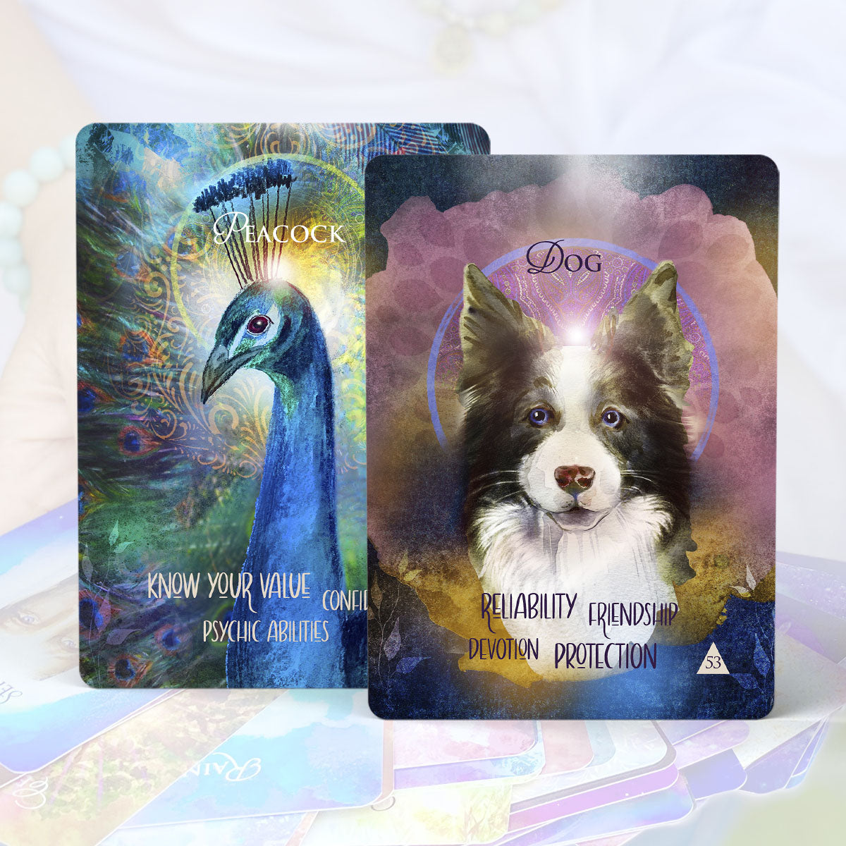 Multi-Dimensional Animal Empowerment Booster Deck